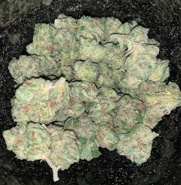 Medical cannabis